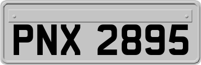 PNX2895