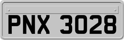 PNX3028