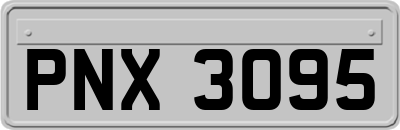PNX3095