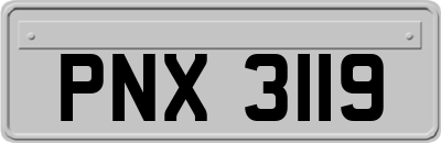 PNX3119