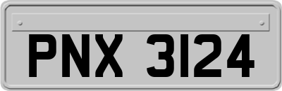 PNX3124