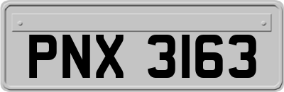 PNX3163