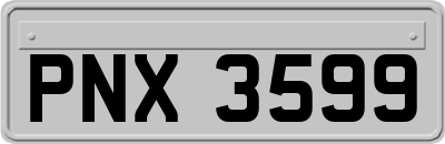 PNX3599