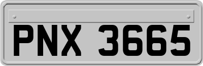 PNX3665