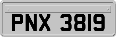 PNX3819