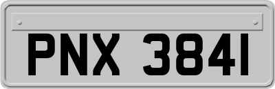 PNX3841