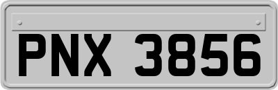 PNX3856