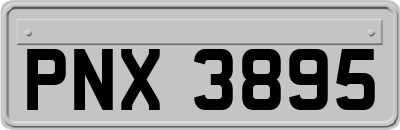 PNX3895