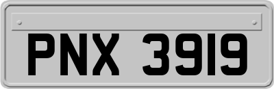 PNX3919