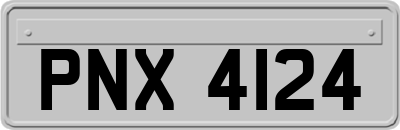 PNX4124