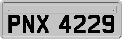 PNX4229