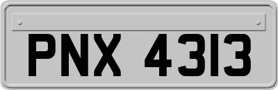 PNX4313