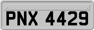 PNX4429