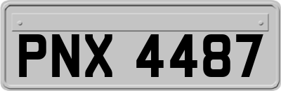 PNX4487