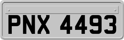 PNX4493