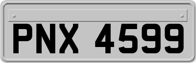 PNX4599