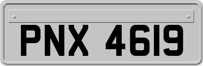 PNX4619