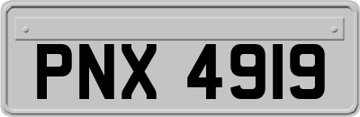 PNX4919