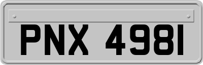 PNX4981