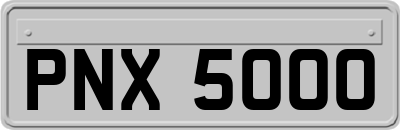 PNX5000