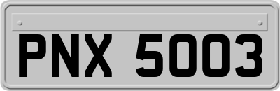 PNX5003