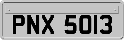PNX5013