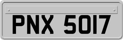 PNX5017