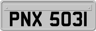 PNX5031