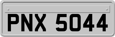 PNX5044
