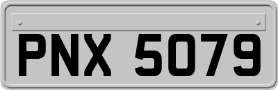 PNX5079