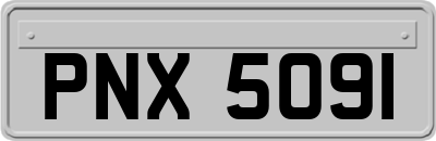 PNX5091