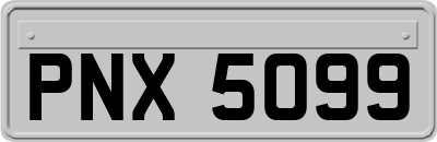 PNX5099
