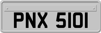 PNX5101