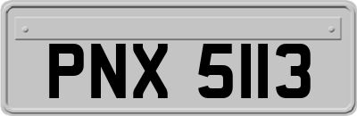 PNX5113