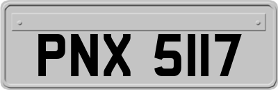PNX5117