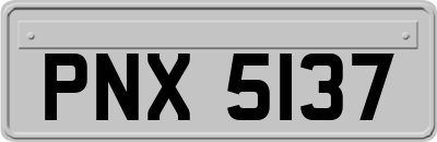 PNX5137