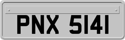 PNX5141