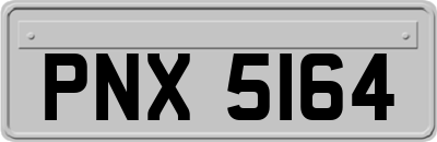 PNX5164