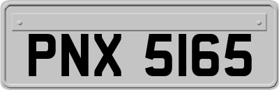 PNX5165