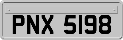 PNX5198