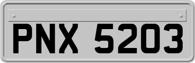 PNX5203