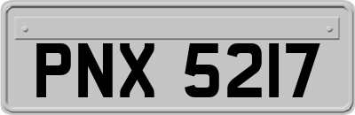 PNX5217