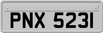PNX5231