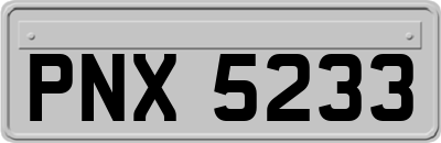 PNX5233