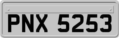 PNX5253