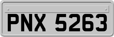 PNX5263