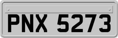 PNX5273