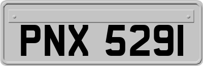 PNX5291