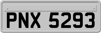 PNX5293