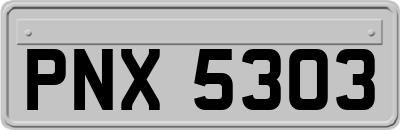 PNX5303